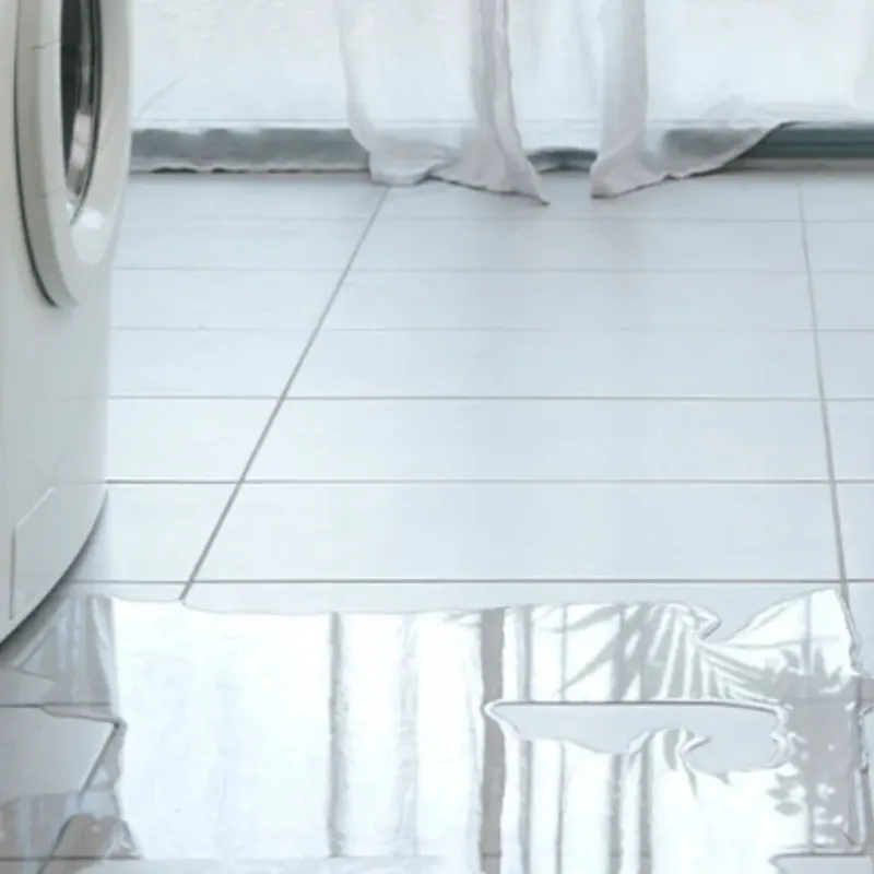 Appliance Leak Cleanup in Saint Charles, MO