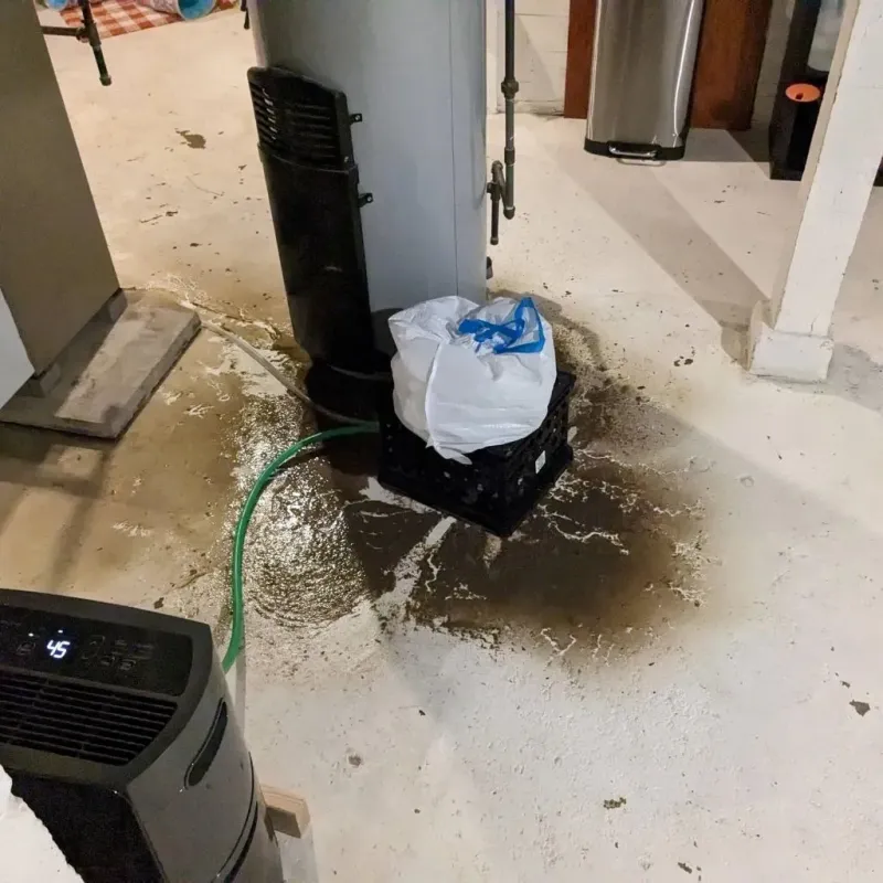 Sewage Backup Cleanup Service in Saint Charles, MO